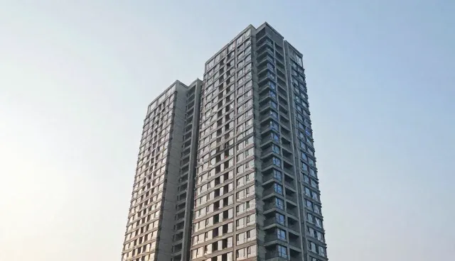 项目执行对接的使用规范与选型建议